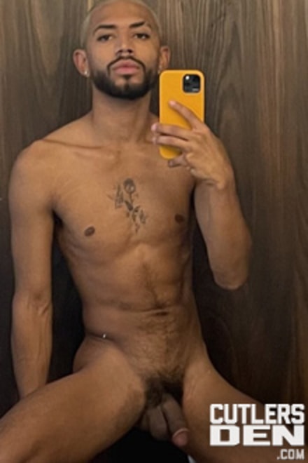 Prince (CD) performer profile