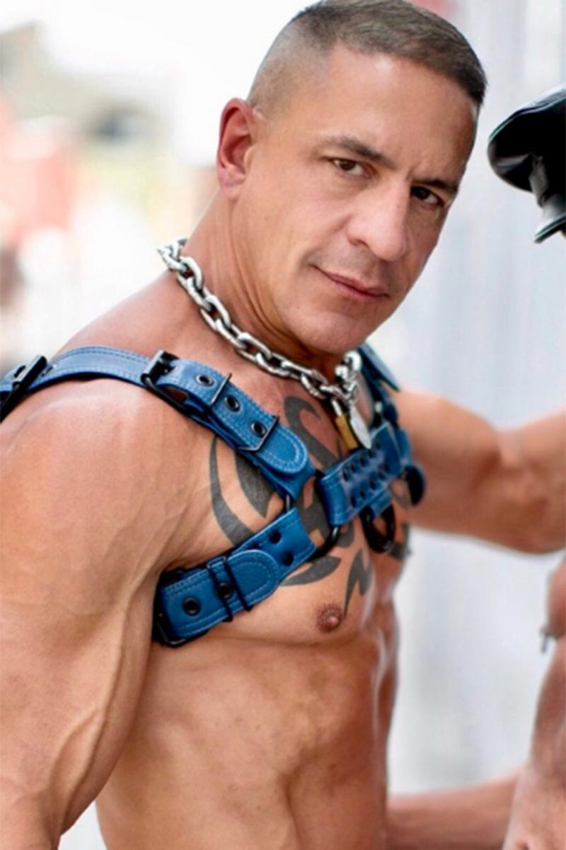 Digger performer profile