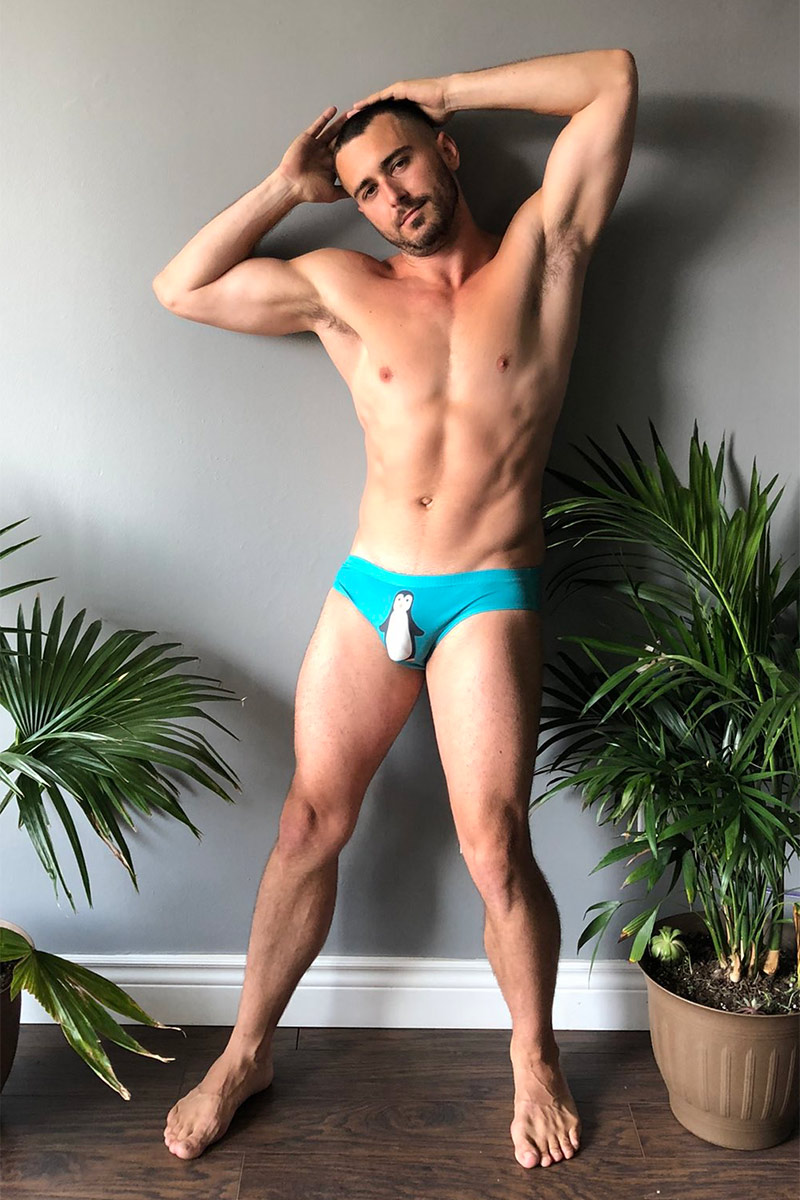 Viktor Sedai performer profile