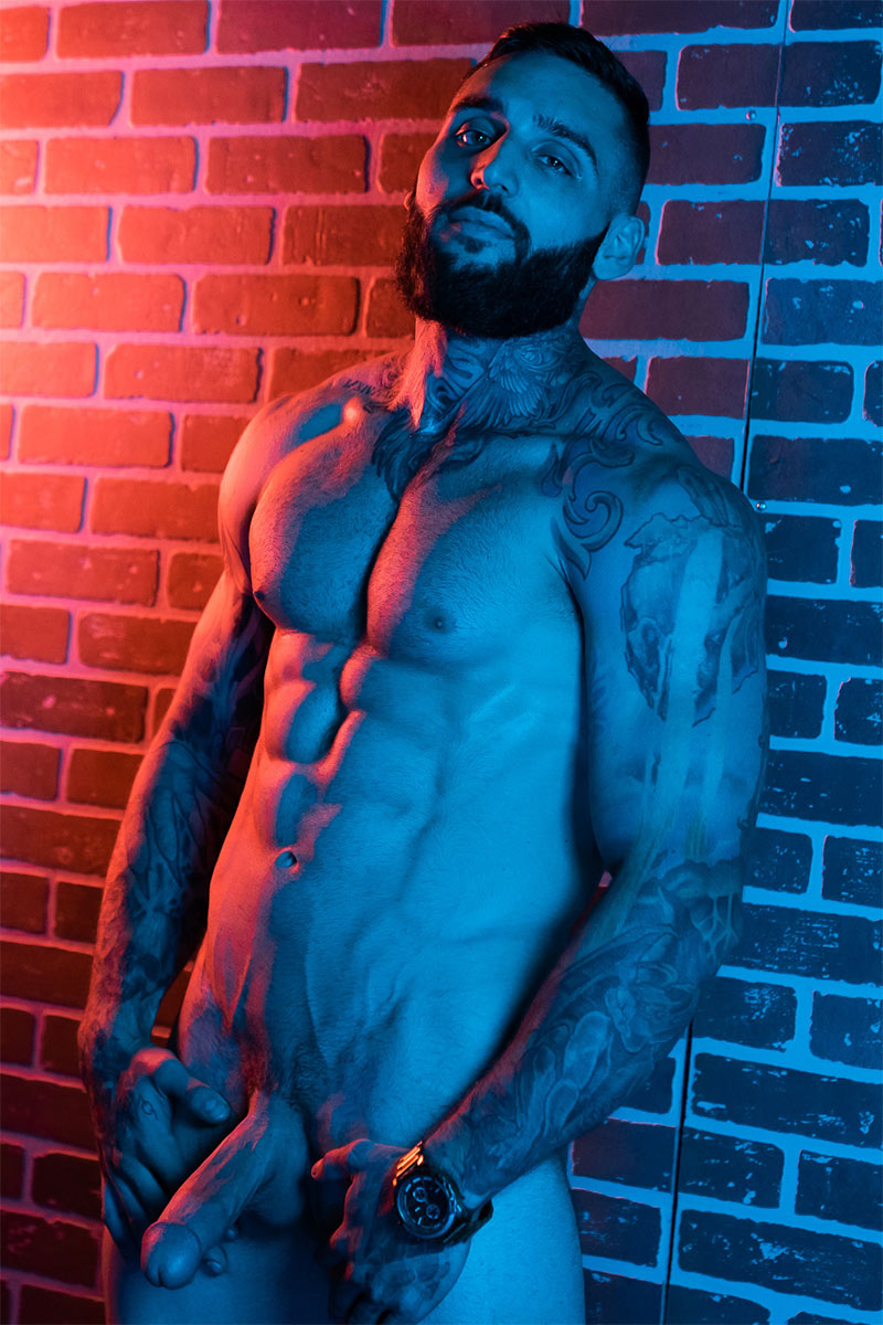 Tony D'Angelo performer profile