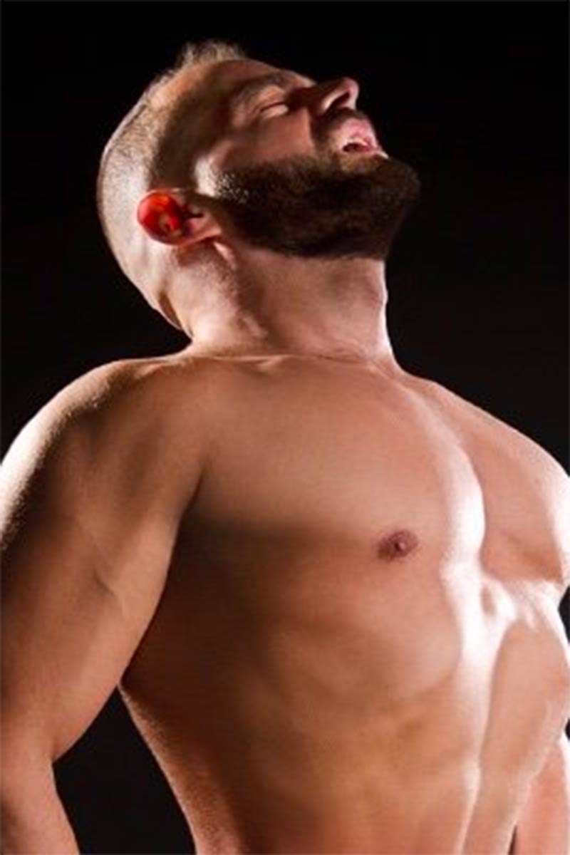 Bruce Hammer performer profile