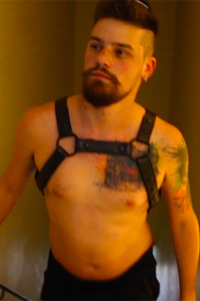 Free Wolf performer profile