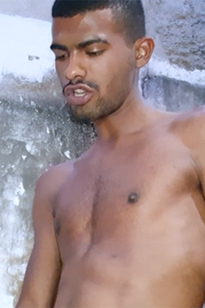 Weverton Alves performer profile
