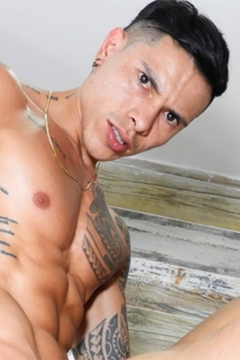 El Tigre performer profile