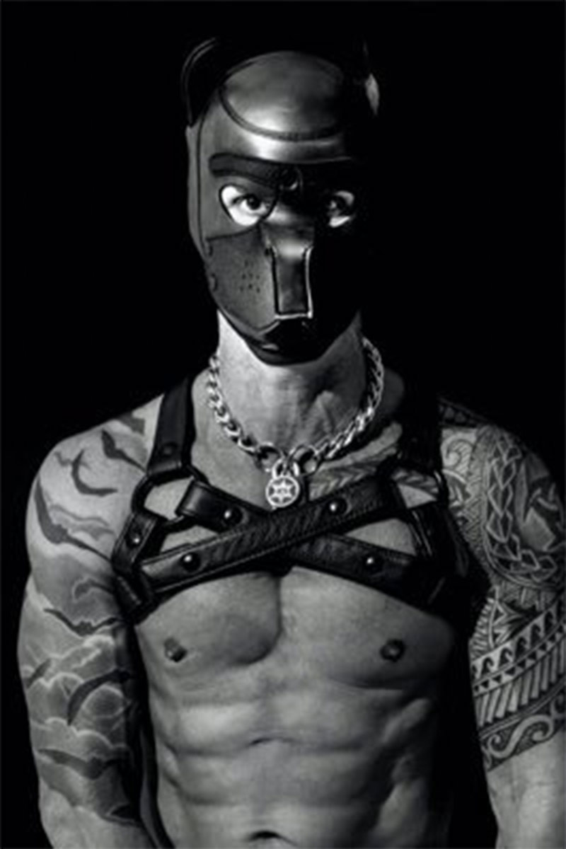 Pup Kilo performer profile