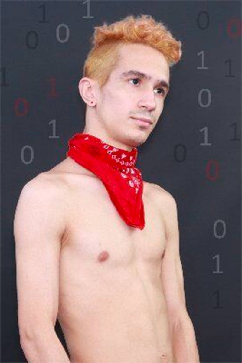 Ethan Havoc performer profile
