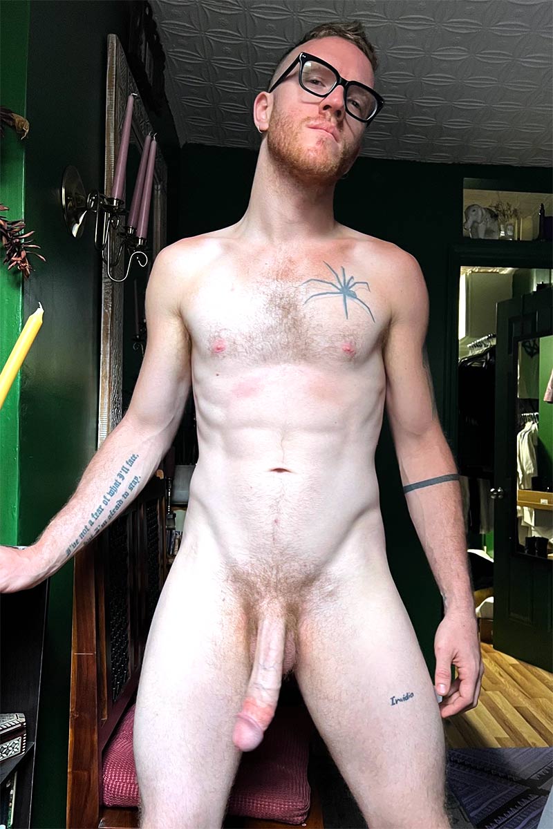 Gingerbeard performer profile
