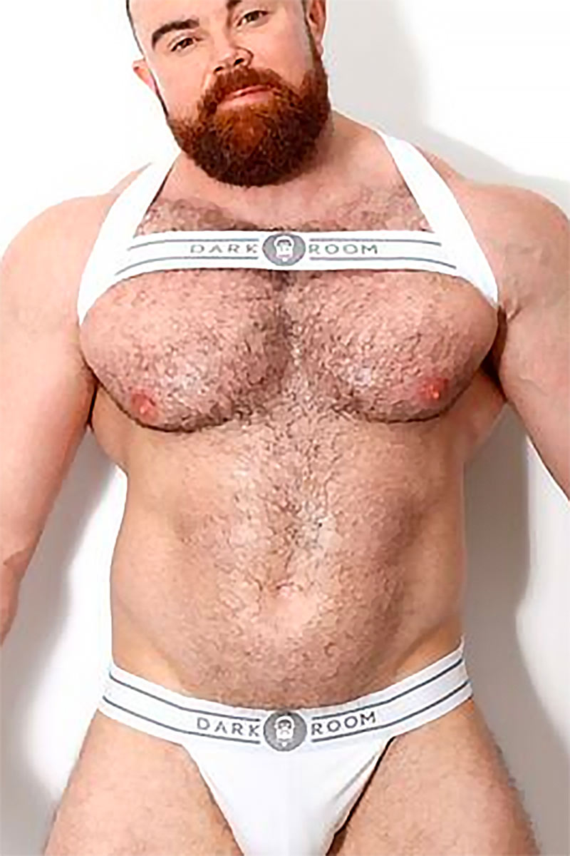 PJ Knox performer profile