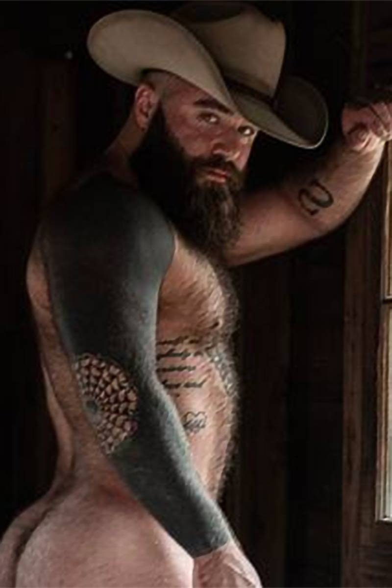 Baby Bear performer profile
