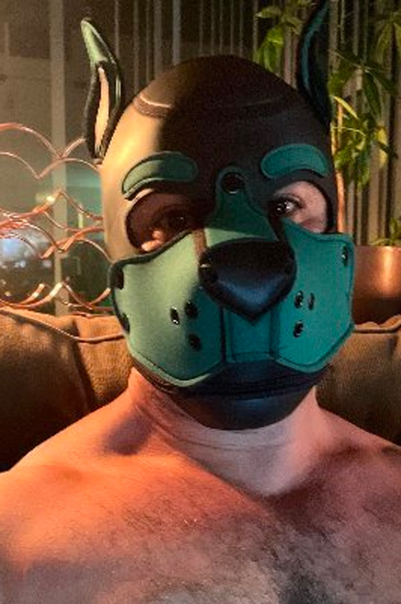 Pup Tender Paws performer profile