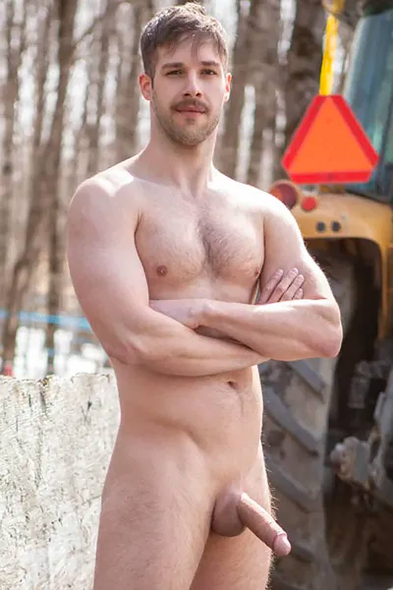 Arno Antino performer profile