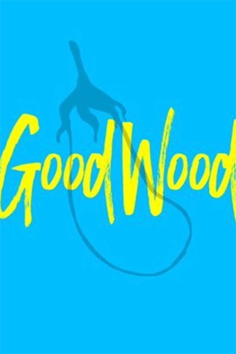 MyGoodWoodNYC performer profile
