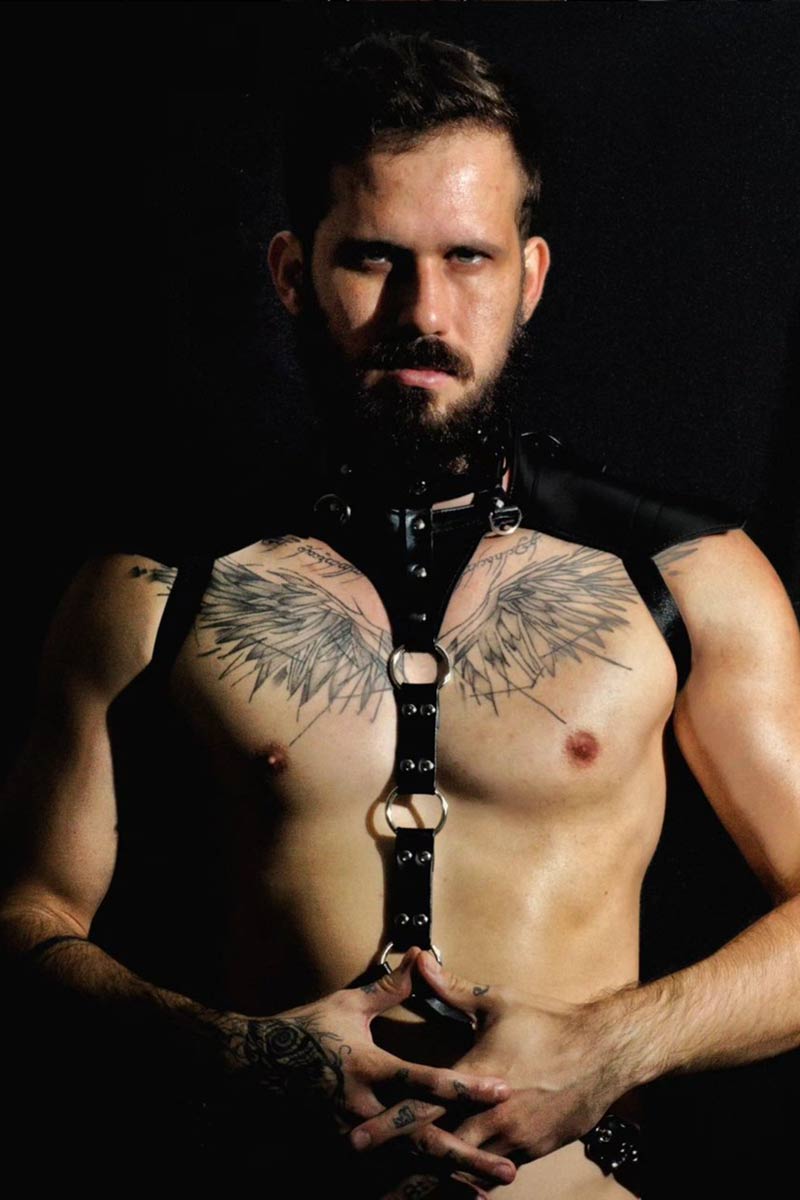 Wolfgang Wolfy performer profile