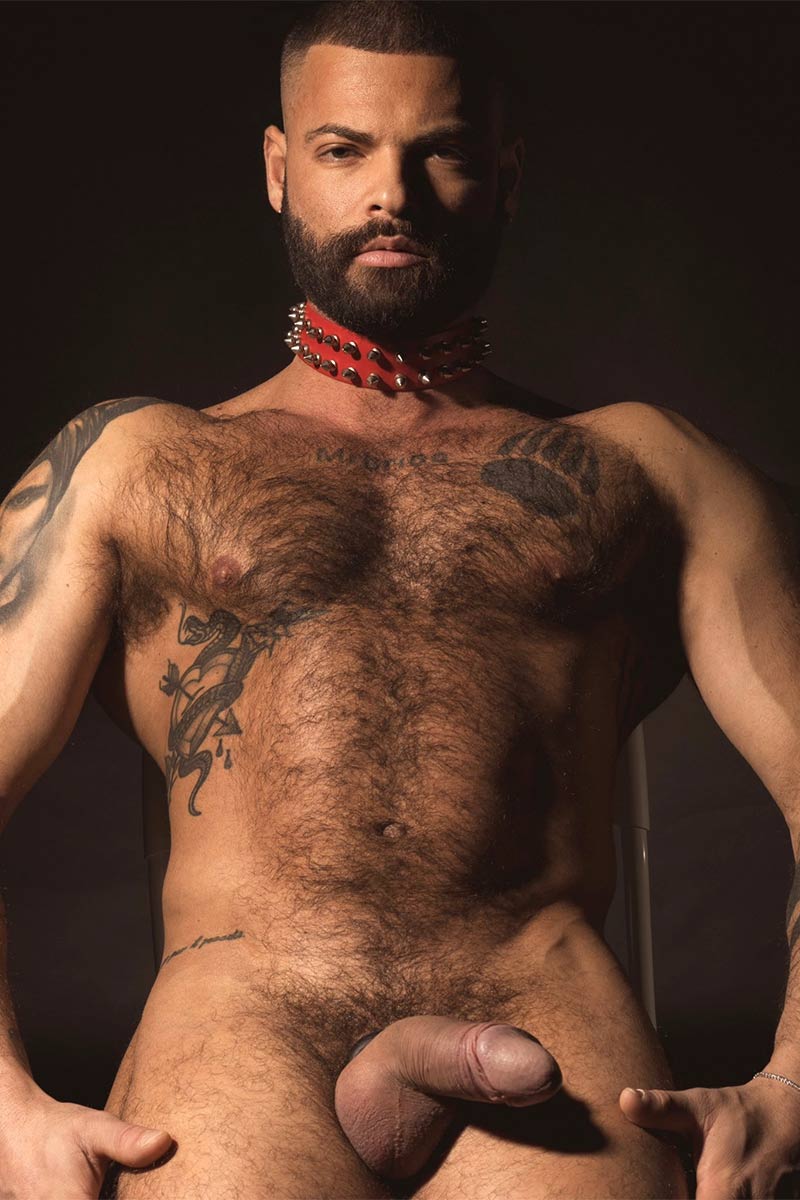 Mr. Brioo performer profile