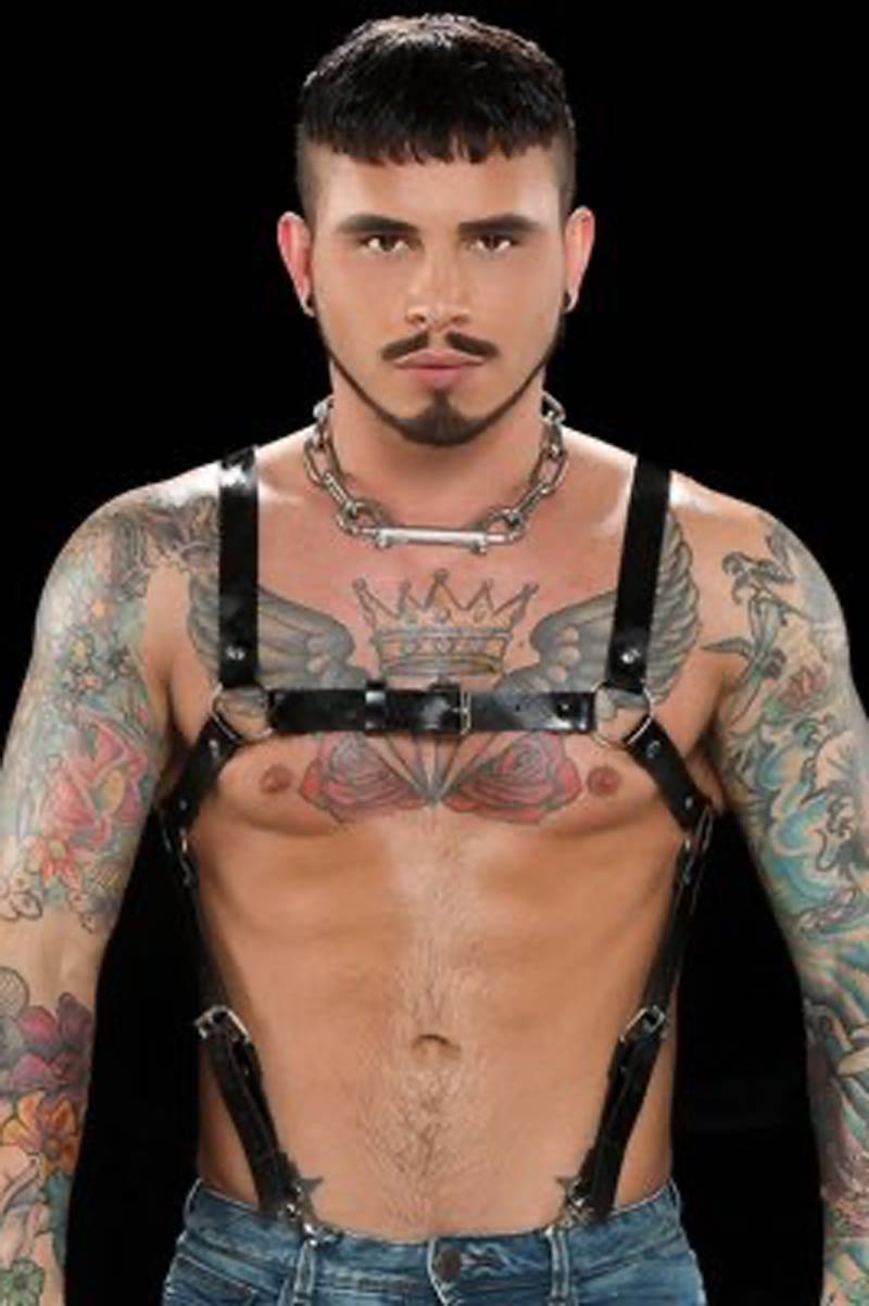 Seth Knight performer profile