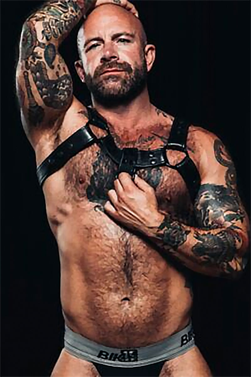 Dickie James performer profile