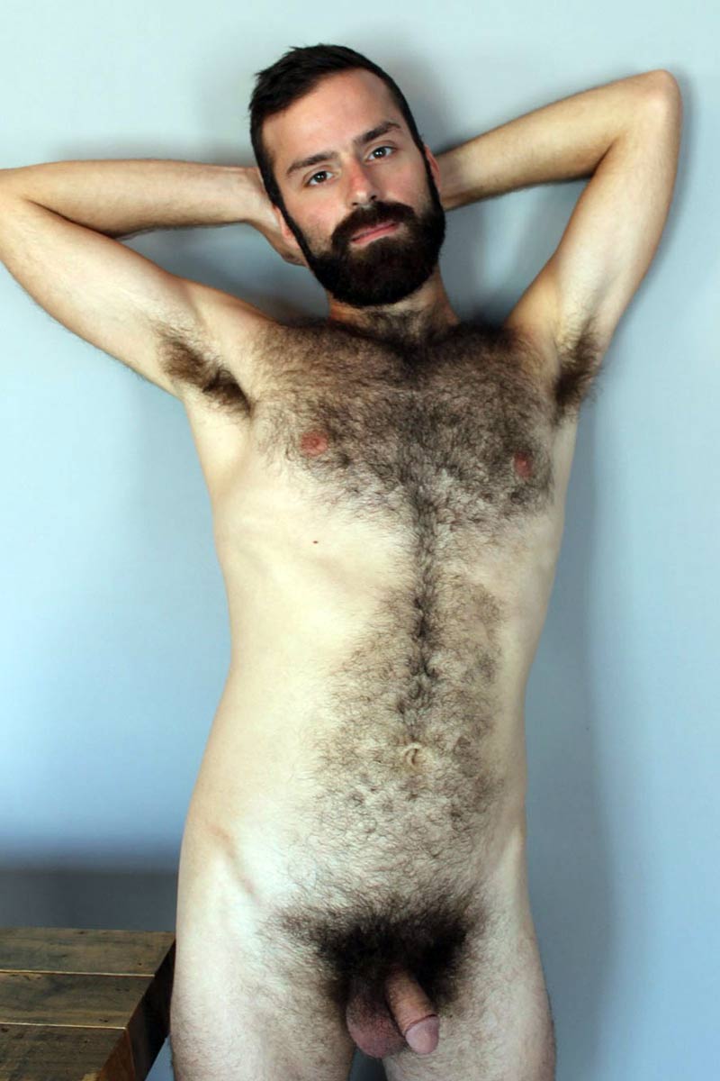 Harry Heinz performer profile