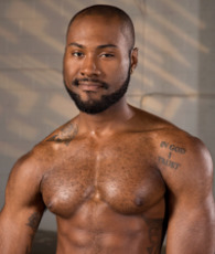 Noah Donovan performer profile