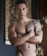 Carlos Leao performer profile