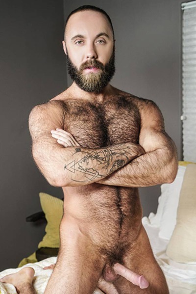 Teddy Bear performer profile