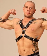 Harley Everett performer profile