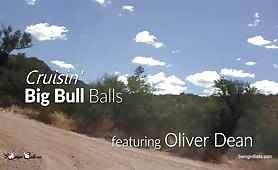 CRUISIN' BIG BULL BALLS