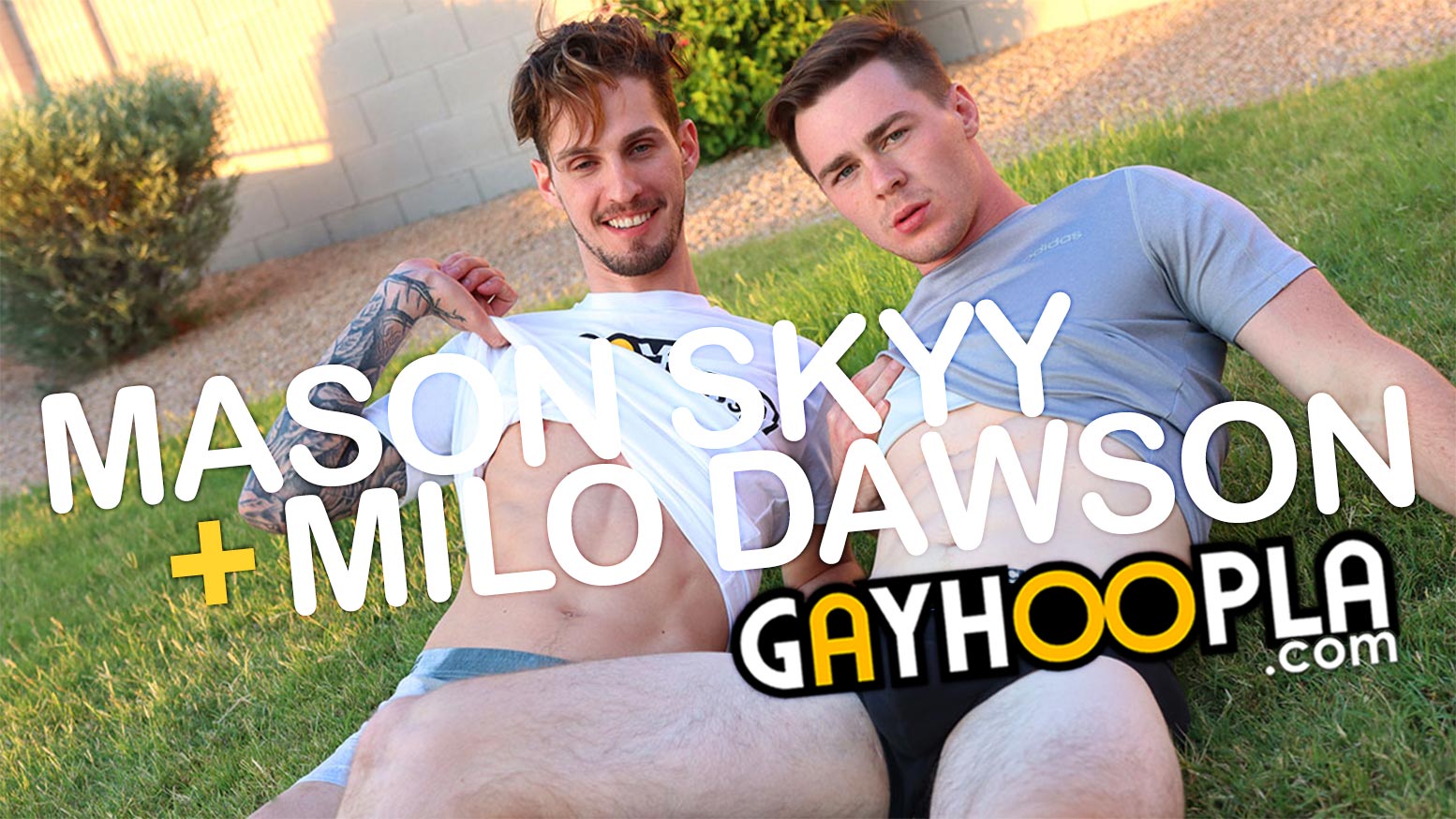 Mason Introduces Milo Dawson In The GayHoopla Experience!