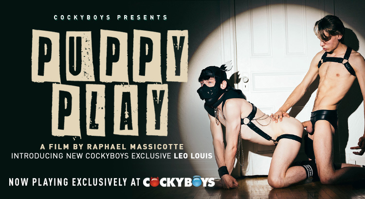 CockyBoys Presents Puppy Play, an Artful Erotic Short