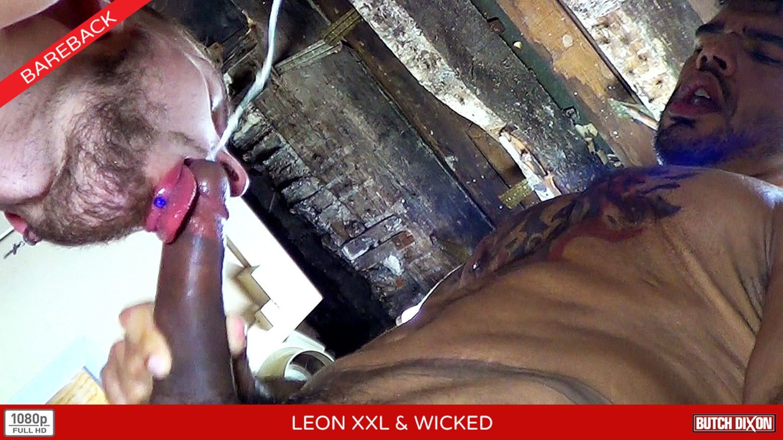 Leon XXL & Wicked