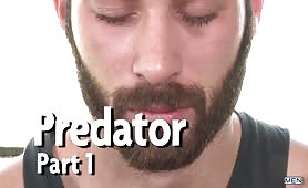 Predator, Part 1